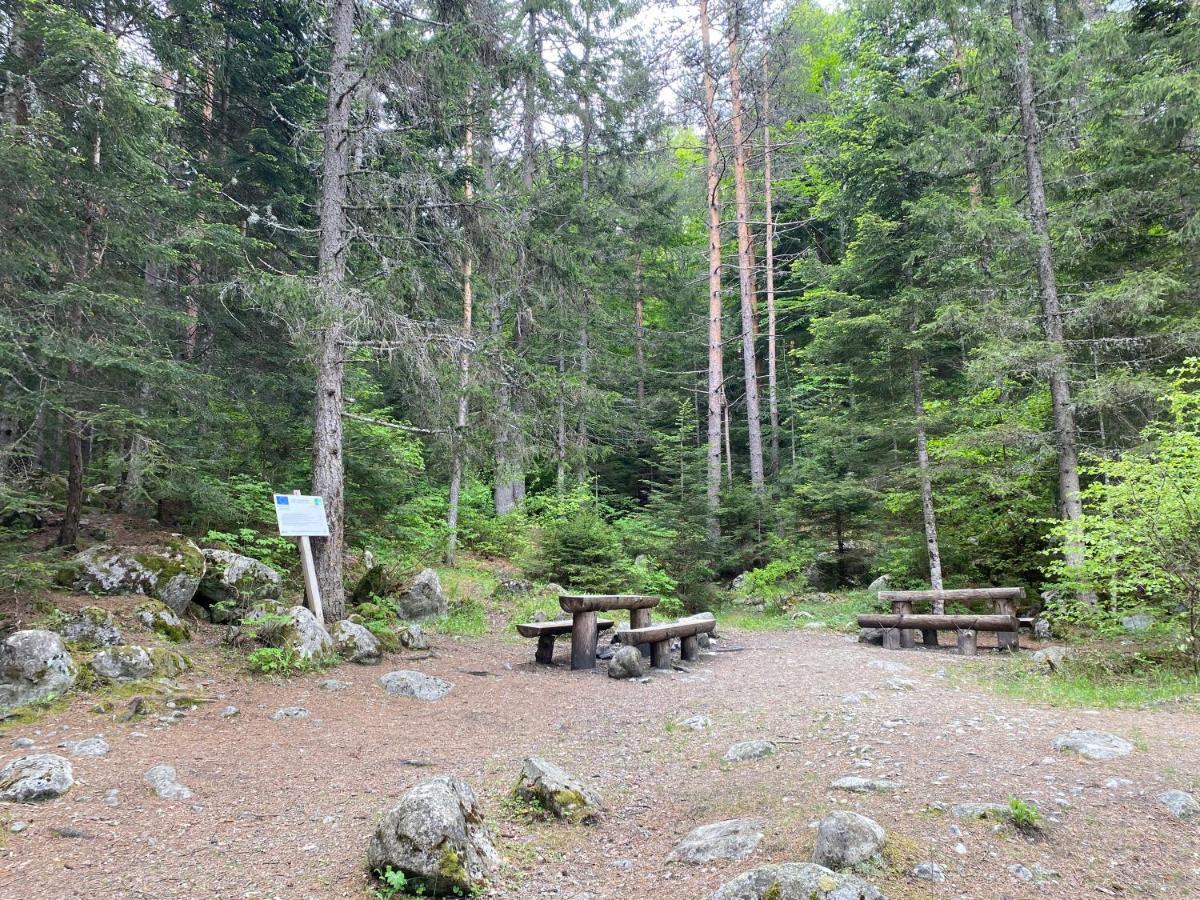 Luxury Private Studio In Green Life Bansko Luaran gambar